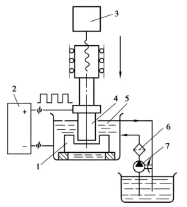 fig1